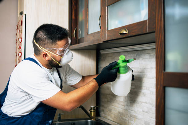 Best Best Pest Control Companies  in Lake Meade, PA