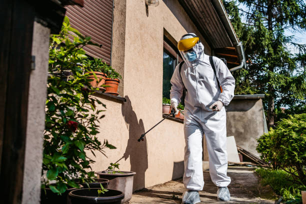 Best Exterminator Services  in Lake Meade, PA