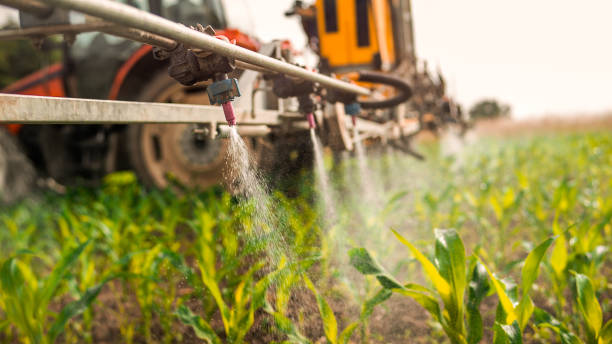 Best Pest Removal Services  in Lake Meade, PA